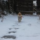 고래민박