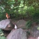 덕산주유소 이미지