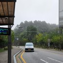 마도면 버스정류장 | [화성] 동탄2 똑버스 이용 방법 | 똑타 DRT 타는 법 &amp; 꿀팁 정리