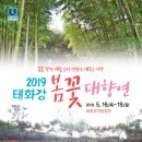 봄꽃체험코스 이미지