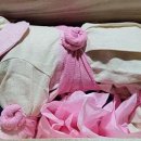 서래안 펫타운 이미지