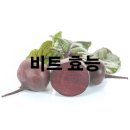 비트 효능 및 효과 먹는 법 이미지