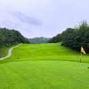 용인 양지파인cc 동코스-서코스 라운딩!