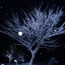 장안면사무소 이미지