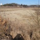 장고항1리 마을회관 이미지