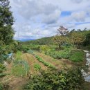 함월농장 이미지