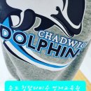 다비수수학여우학원