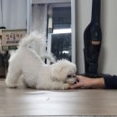 알맹2 네이버블로그