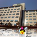 미란다관광호텔 네이버블로그