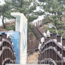 문암3리 | 열 번째 해파랑길 기록(28코스~30코스/1박2일 일정)+장호항