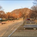 경기도 차박가능한 캠핑장 가평 자라섬 캠핑장