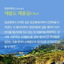 최영장군 사당 이미지