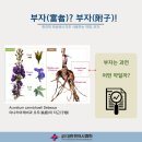 부자한의원 이미지