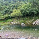 김삿갓 계곡 캠핑장 이미지