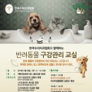아이조은동물병원 네이버블로그