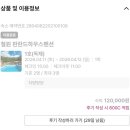 별자리펜션 | 철원 독채 숙소 추천 [철원 핀란드 하우스 펜션] 후기!