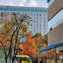 그레이스팜 | 루이비스컨벤션 l 송파문정 웨딩홀 그레이스홀 베뉴 본식dvd 웨딩영상 촬영후기 웨딩미