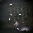 264 뉴스1