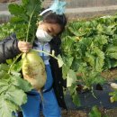 고골농장 이미지