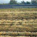 현정농장 이미지