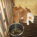 회문산궁전휴양지 이미지