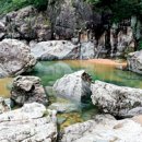 왕소나무길 이미지