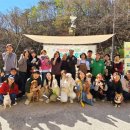 산삼자연휴양림(함양) 이미지