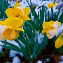 (주)고엘 이미지