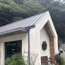사람과애견 | [양평] 사람도 강아지도 즐거운 애견동반펜션 메리도그하우스 B동 숙박 후기