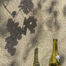 스튜디오심
