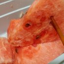 복숭아PC 이미지