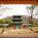 경인탐매 (庚寅探梅) ~8~