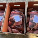 해찬농장 이미지