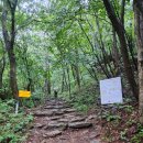 ♤ 2026.09.01.화.유명산 이미지