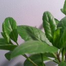 새순농장 이미지