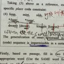 9-11월 2회차 B4 음운론 이미지