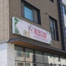 보와다방 | 부산 경남양산 도마뱀카페 게코다방 다녀온 후기