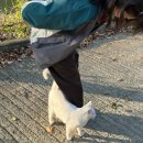 소림마라 대구수성점 | 25년 11월 12월 일상 모음