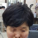 배방가발