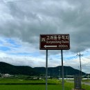 심동입구화장실 | 창원 근처 배롱나무꽃 명소 함안 고려동유적지