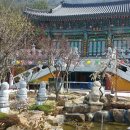 불심원 이미지