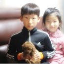 참 조은 훈이네 강아지 이미지