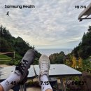 울릉벚꽃 이미지