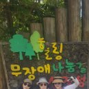 붉은오름자연휴양림 이미지