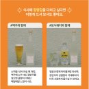 (주)한국유기농 | 부여 전통주 감탄주 후기｜설 명절 선물로 어떨까? 맛·구성 솔직 정리 (feat. 방어회 페어링)