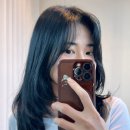 젠틀맨헤어뷰티컬 | 성수 시드더뷰티 연무장점 헤어컨설팅 레이어드 C컬펌 후기