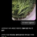 썸머탤지어