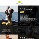디앤메드