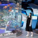민속전시관 | 경북 영덕 가볼만한곳 영덕어촌민속전시관 아이와 갈만한 실내 놀거리 추천
