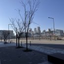 백억부동산공인중개사사무소 이미지